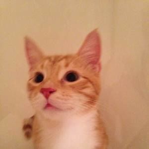 Meet your Posher, Janet